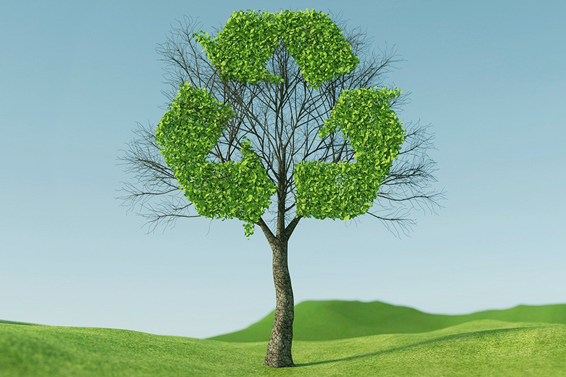 ¿Qué es la economía circular?